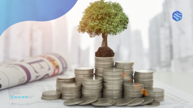 Beginner investment tips